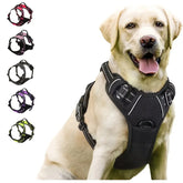 Reflective Dog Vest Harness – Comfort, Safety & Control