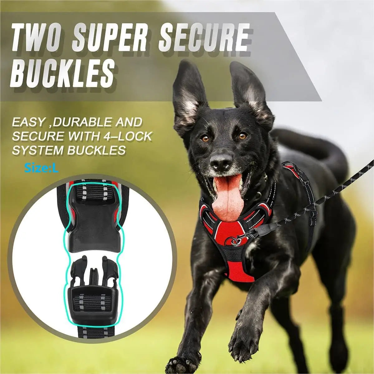 Reflective Dog Vest Harness – Comfort, Safety & Control